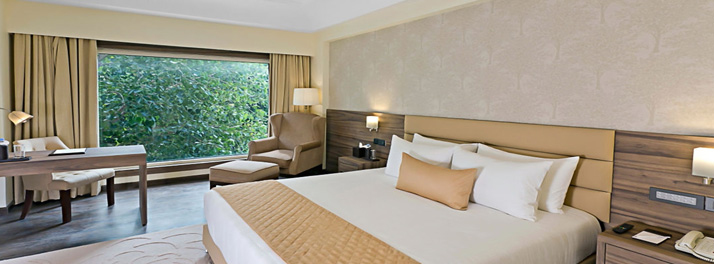 2592/Udman Greater Noida-22.jpg